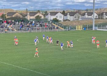 Carlow v Laois in Netwatch Cullen Park