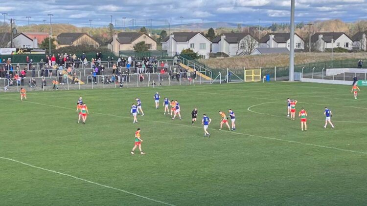 Carlow v Laois in Netwatch Cullen Park