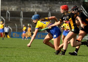 Brian Dowling: “We were second best for most of the game” as Clare get claws into Cats in Ennis