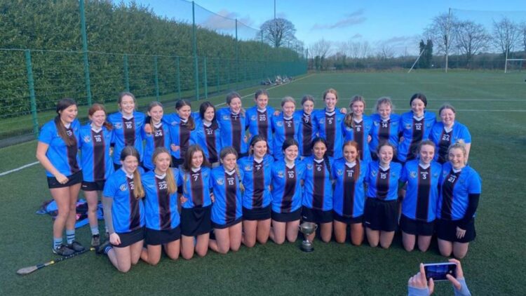 Coláiste Abhainn Rí senior camogie team