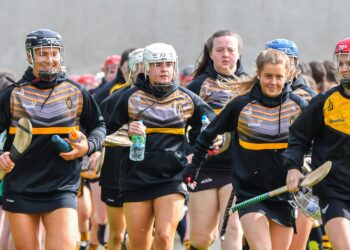 Kilkenny Intermediates into the league final for first time in four years