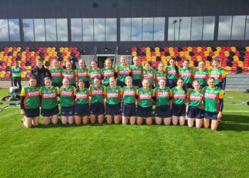 Carlow looking for promotion back to division 2 after an impressive victory in league semi-final