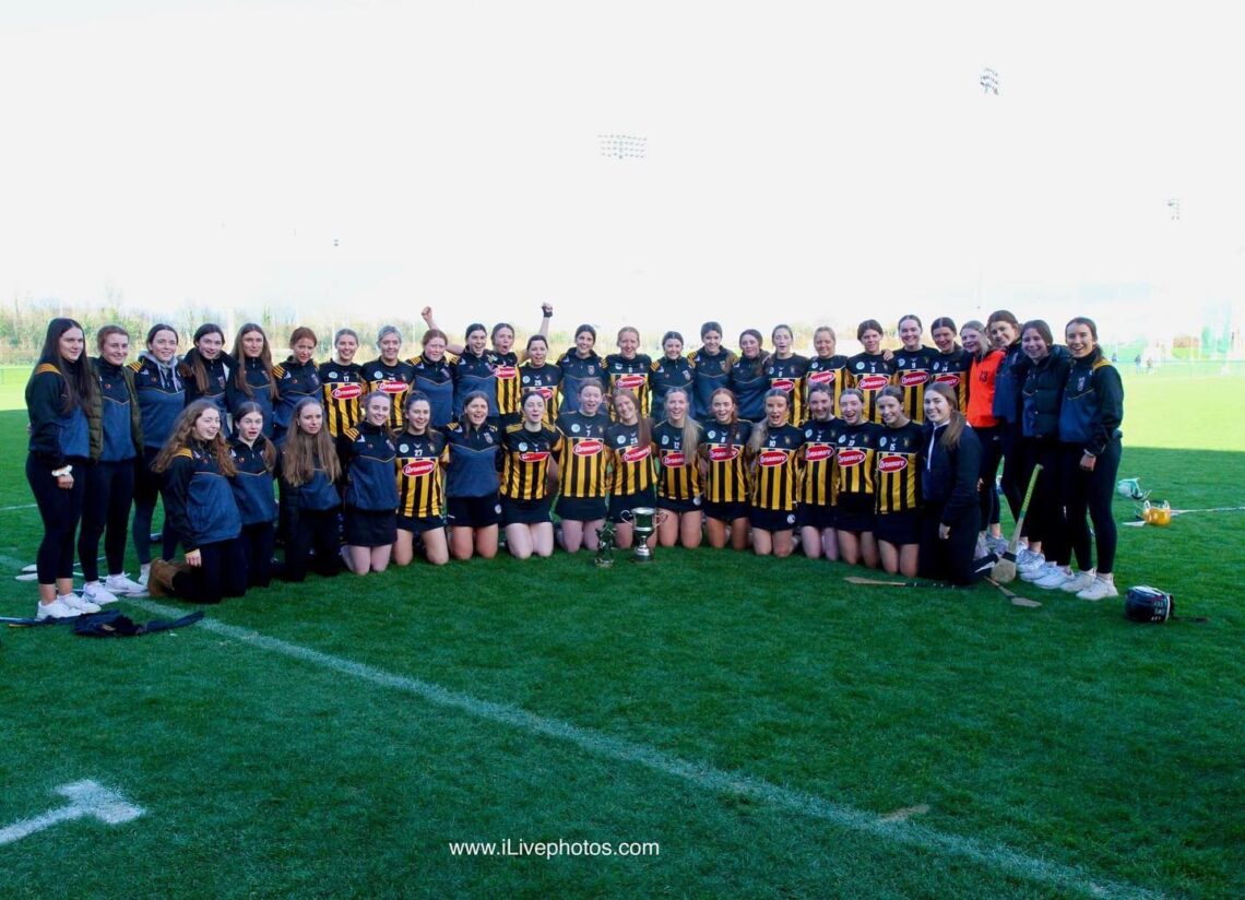 Kilkenny crowned minor A champions ahead of busy championship run