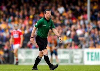 Kilkenny v Limerick; Carlow team of officials heading to Cork this Sunday’s Allianz Hurling League final