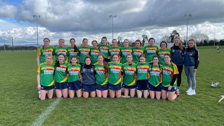 Carlow minor camogie team. Photo: Carlow Camogie/Facebook