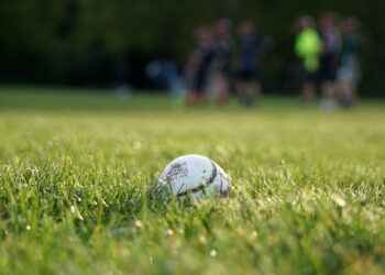 A sliotar in grass. Photo: Adrian/Pexels