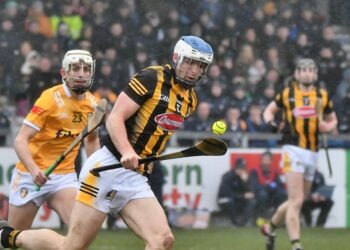“I wouldn’t be happy with some of the goals we conceded” Derek Lyng comments as clinical Cats sink claws into Antrim in Round 3 of the Leinster senior championship