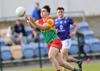 Carlow v Wicklow. Photo: Pat Ahern/Carlow GAA