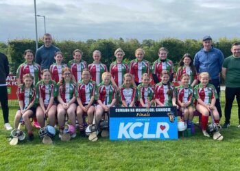 Moneenroe, winners of the Roinn E KCLR Cumann na mBunscoil camogie final 2023.