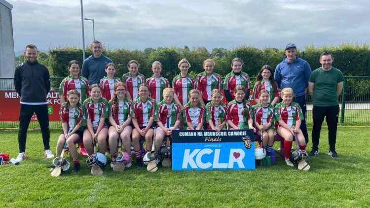Moneenroe, winners of the Roinn E KCLR Cumann na mBunscoil camogie final 2023.