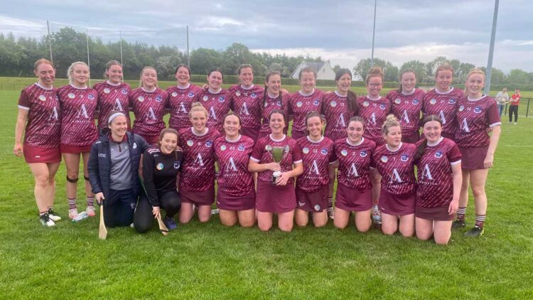 Naomh Bríd, senior camogie league champions in Carlow (May 2023). Photo: Naomh Bríd/Facebook