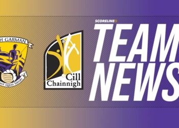 Kilkenny v Wexford team news