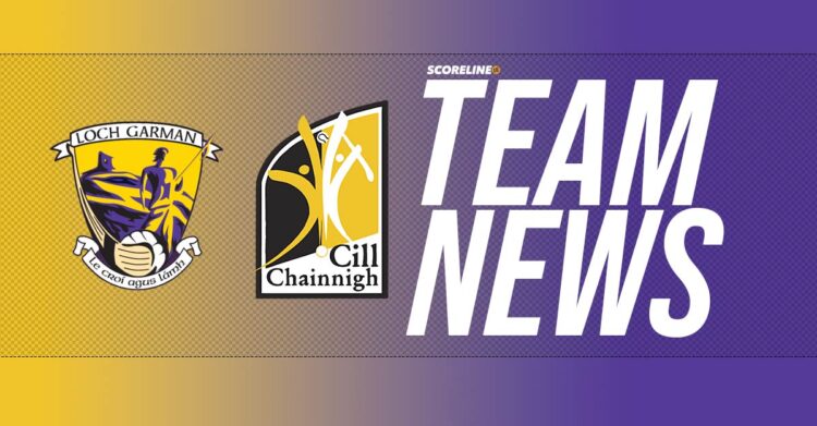 Kilkenny v Wexford team news
