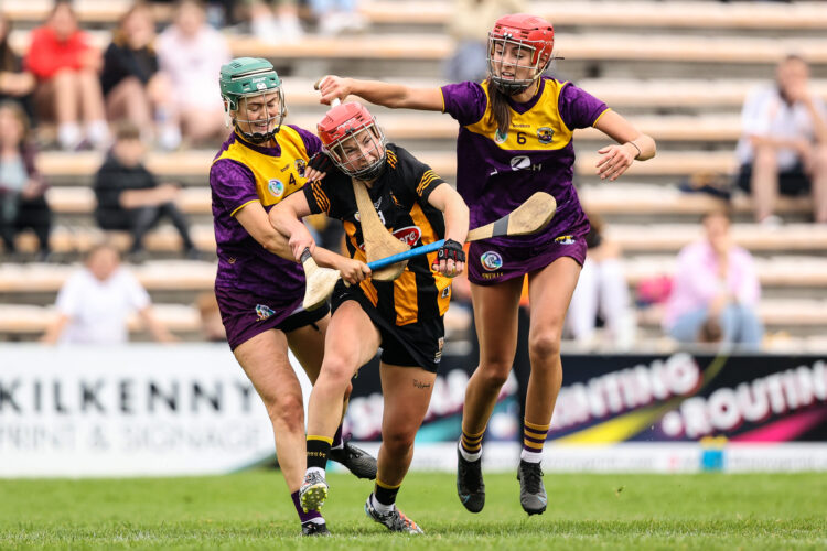 Wexford snatch dramatic draw with Kittens in round one of All-Ireland Camogie series