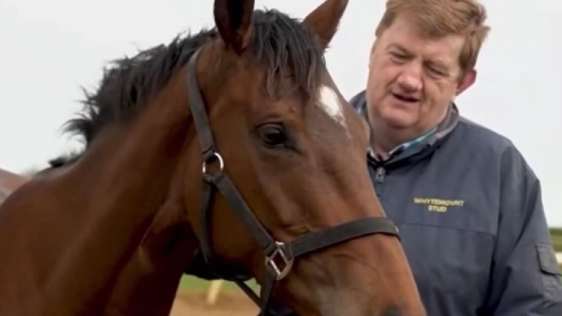 John “Shark” Hanlon announces open day at stables in June