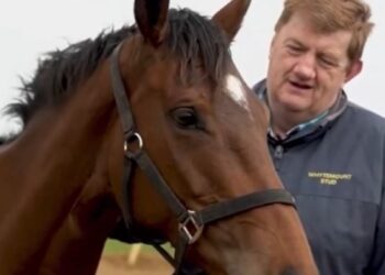John “Shark” Hanlon announces open day at stables in June