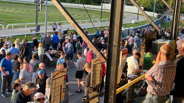 There is a smashing-looking card at Kilkenny Greyhound Stadium tonight