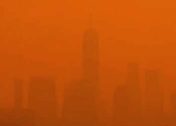 Flight delays in New York due to smog cast doubt over Carlows Tailteann Cup fixture