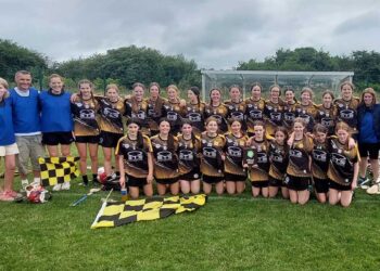 Tullogher Camogie Féile Team. Photo: Tullogher Camogie Club / Facebook