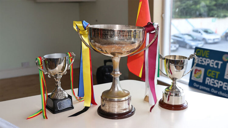 Carlow camogie championship trophies. Photo: County Carlow Camogie/Facebook