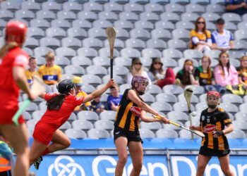 Cork hold off Gaule-inspired Cats to advance 