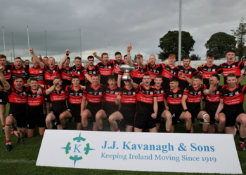 “We did most of our good hurling during the year down in the field in Borris” says MLR manager after county final win