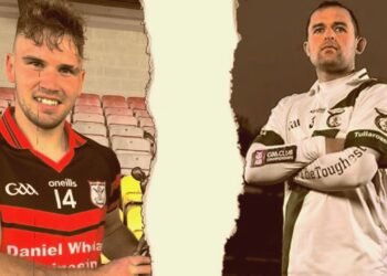 Two Kilkenny and Carlow hurlers will represent Ireland on the international stage