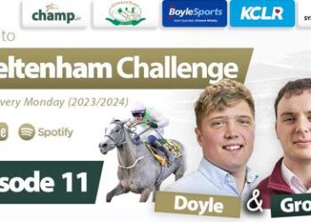 Champ.ie Road to Cheltenham Challenge