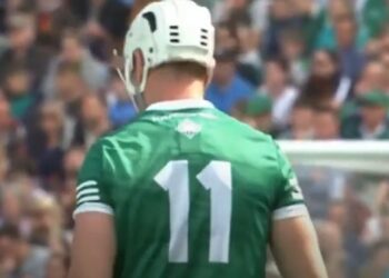 Limerick hurler Kyle Hayes receives suspended sentence for violent disorder charges