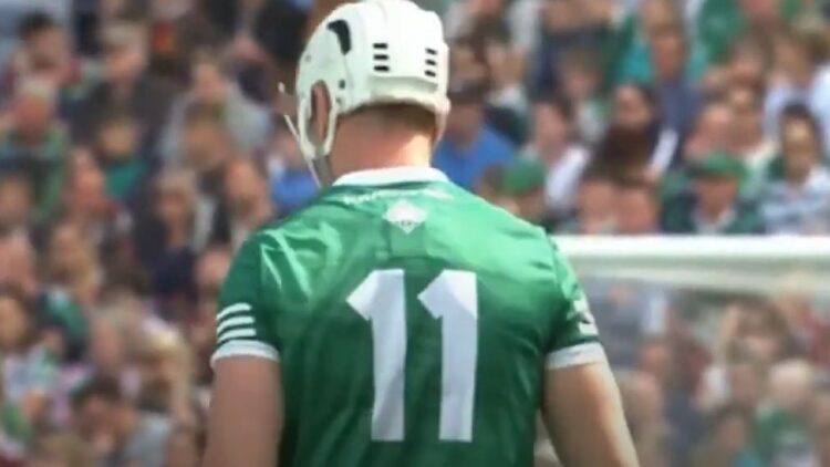 Limerick hurler Kyle Hayes receives suspended sentence for violent disorder charges